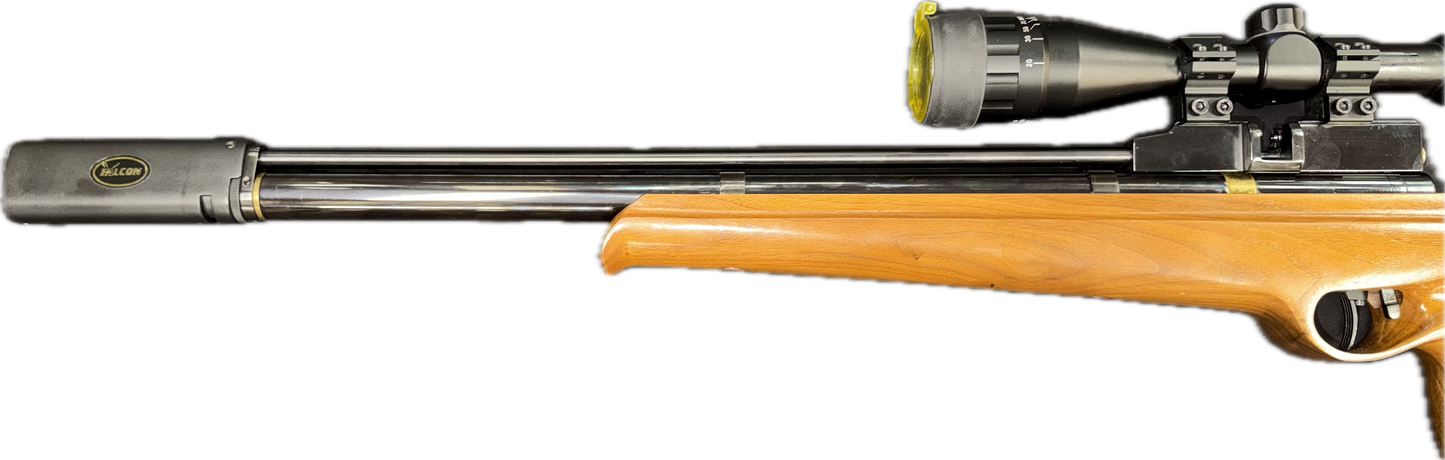 Falcon FN19 .22 w/scope & Silencer