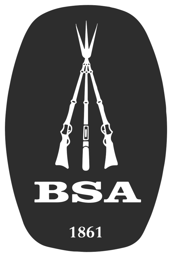 BSA logo