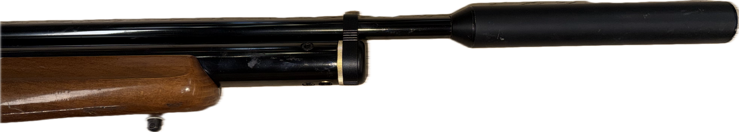 WEBLEY RAIDER .22 PCP