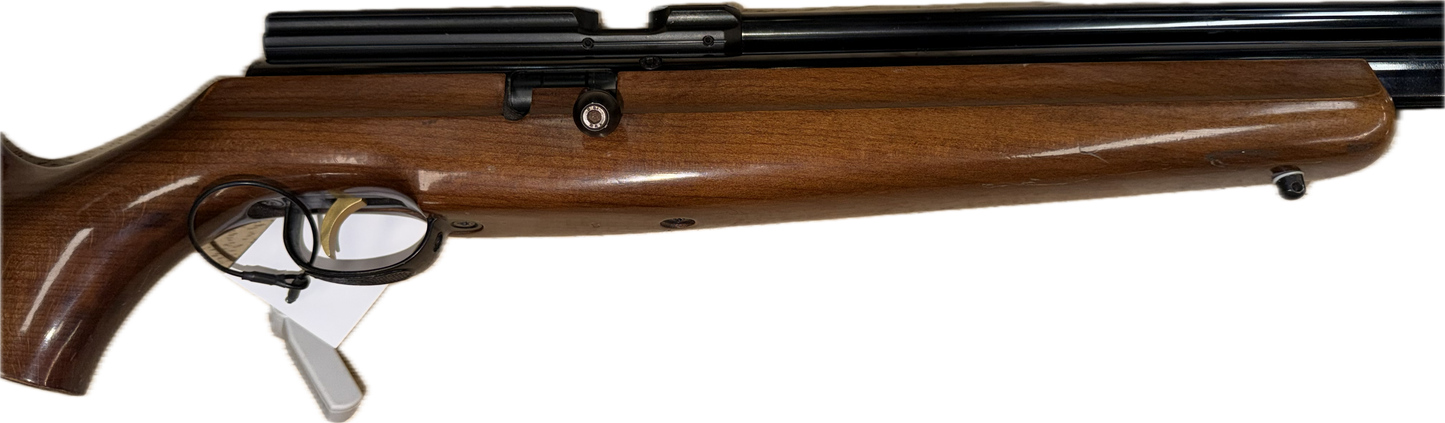 WEBLEY RAIDER .22 PCP