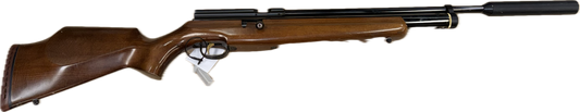WEBLEY RAIDER .22 PCP