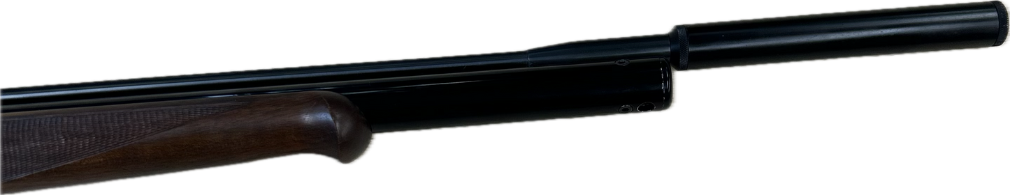 RWS EXCALIBER .22