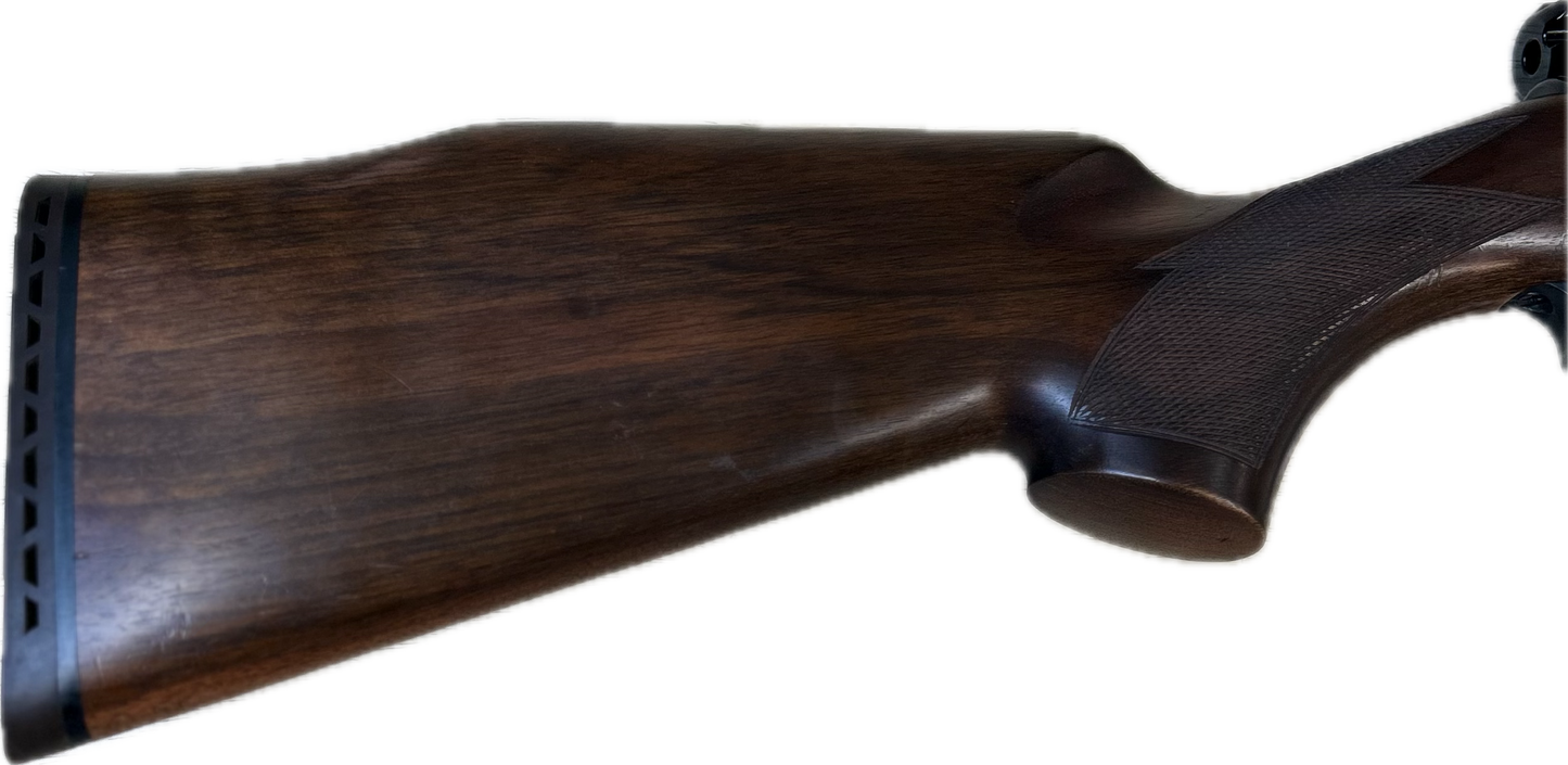 RWS EXCALIBER .22
