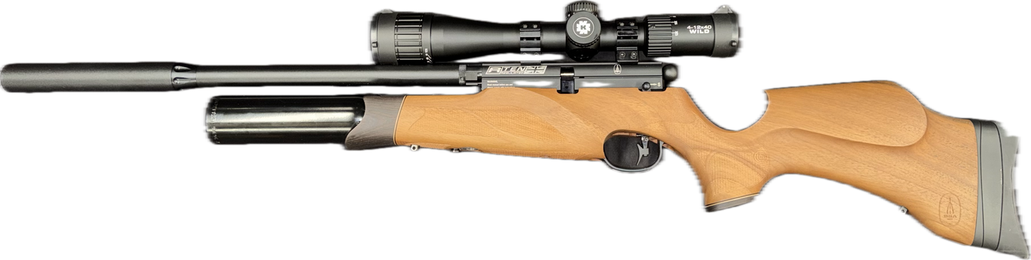 BSA R10 .177 W/scope