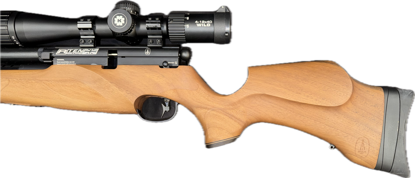 BSA R10 .177 W/scope