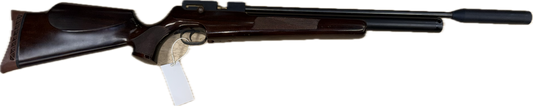 Logun Solo .22 W/Silencer