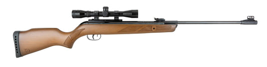 GAMO HUNTER 440 SPRING AIR RIFLE .22