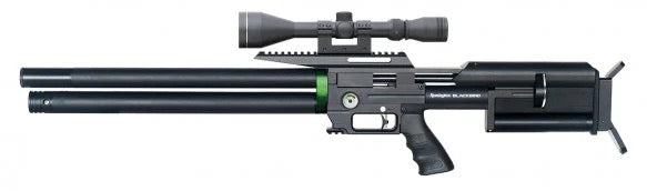 REMINGTON BLACKBIRD .22